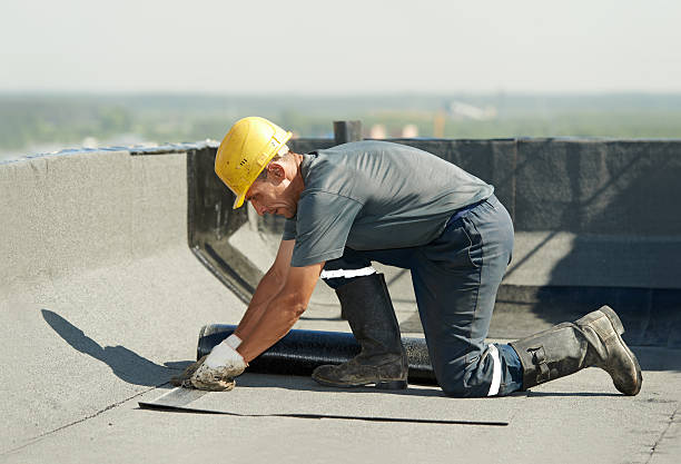 Best Blown-in Insulation  in Lamoni, IA